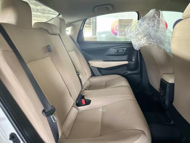 يارس واي بلس